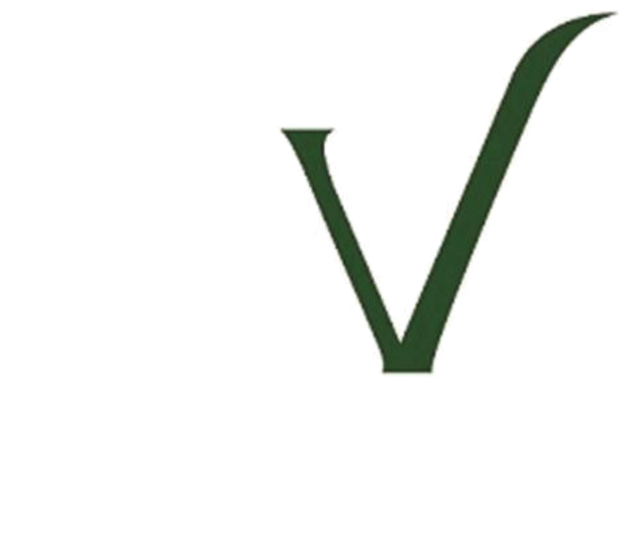 AVvision